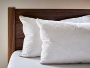 Two goose down pillows next to a solid walnut bed headboard