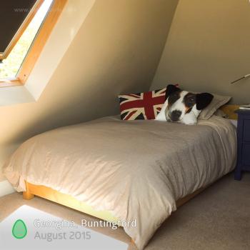 Monthly Photo Competition Customer - 26 August 2015