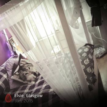 Monthly Photo Competition Customer - 81 January 2015