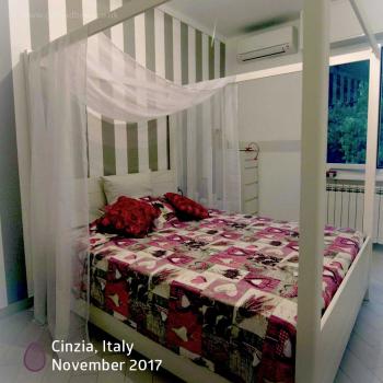 Monthly Photo Competition Customer - 230 November 2017