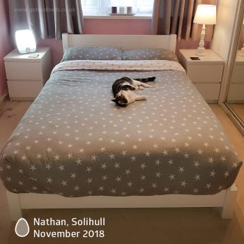 Monthly Photo Competition Nathan - 367 November 2018
