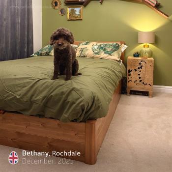 ottoman storage bed - bethany - rochdale - united kingdom (mainland)