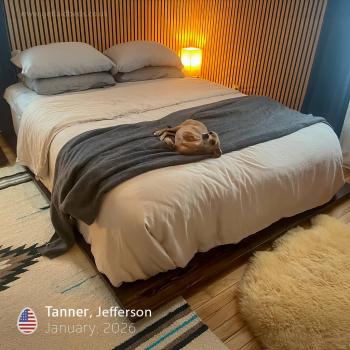 low modern attic bed - tanner - jefferson - united states