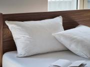 goose feather pillow pair