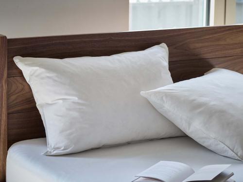 goose feather pillow pair