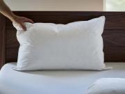 goose feather down pillow