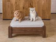 raised pet bed walnut