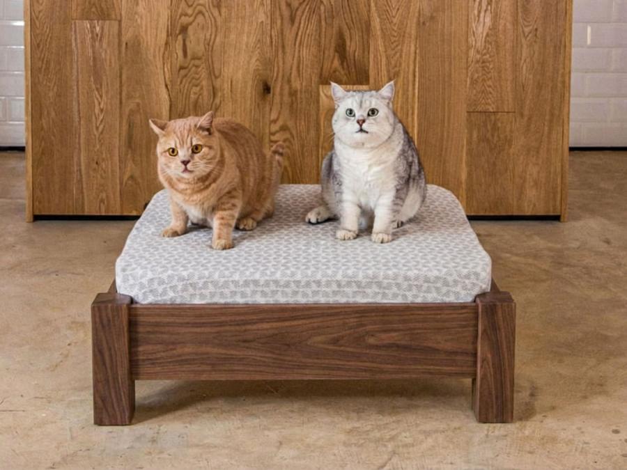 raised pet bed walnut