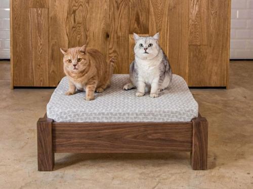 raised pet bed walnut