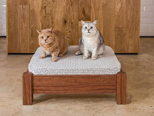 raised pet bed sapele