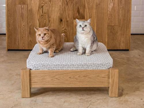 raised pet bed oak