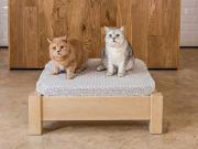 raised pet bed maple