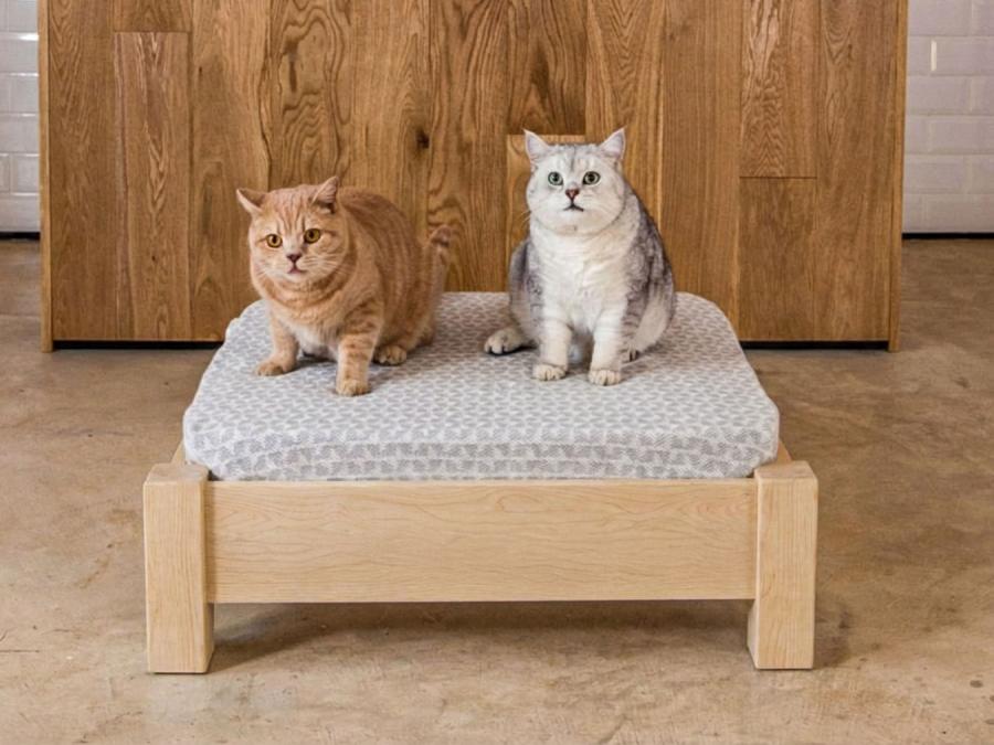 raised pet bed maple