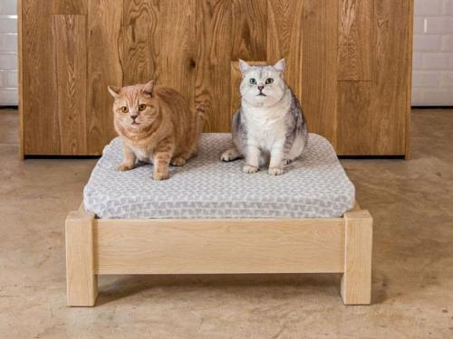 raised pet bed maple