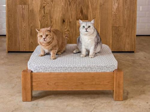raised pet bed cherry