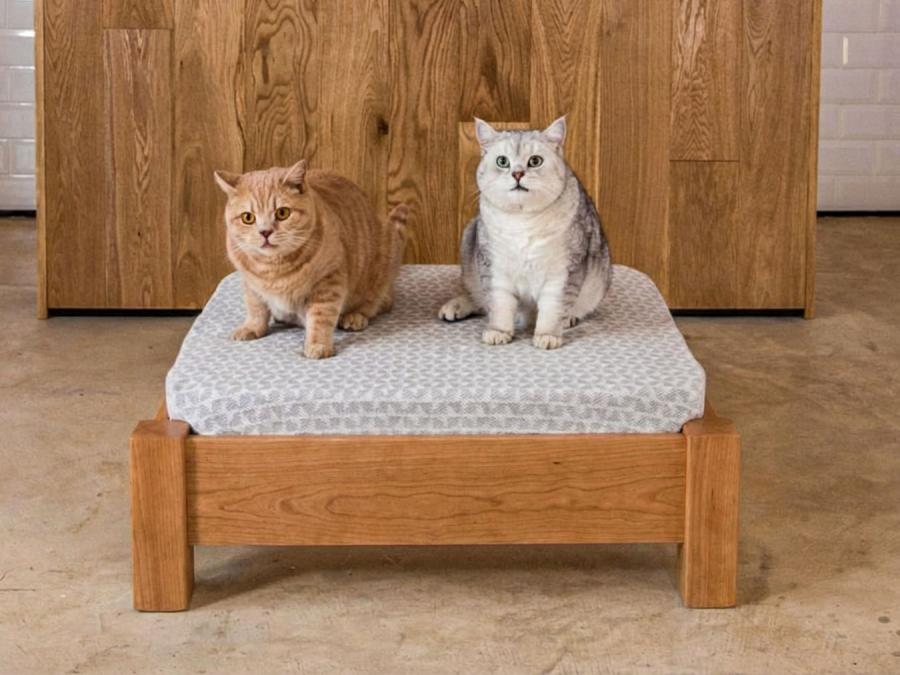 raised pet bed cherry