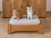raised pet bed cherry