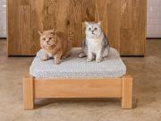 raised pet bed beech