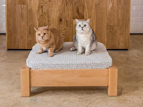 raised pet bed beech