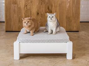 raised wooden pet bed