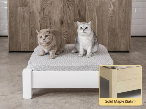 raised wooden pet bed in solid maple by get laid beds