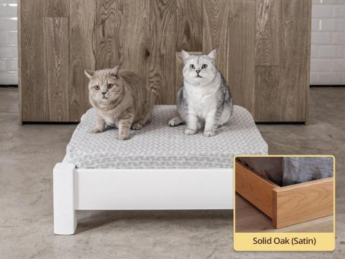 raised wooden pet bed in solid oak by get laid beds