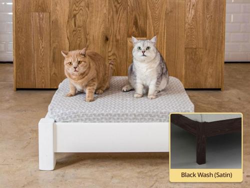 raised wooden pet bed in black wash by get laid beds