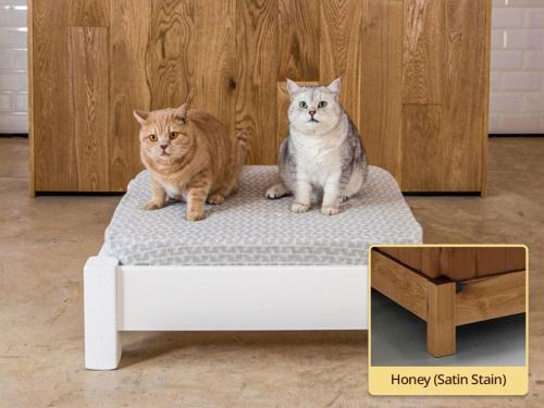 raised wooden pet bed in honey by get laid beds