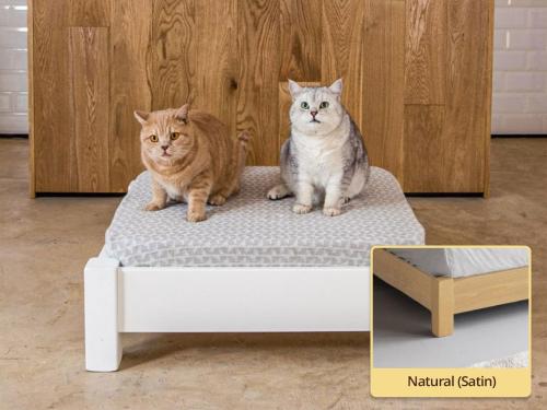 raised wooden pet bed in natural by get laid beds