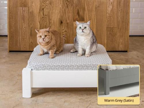 raised wooden pet bed in warm grey by get laid beds
