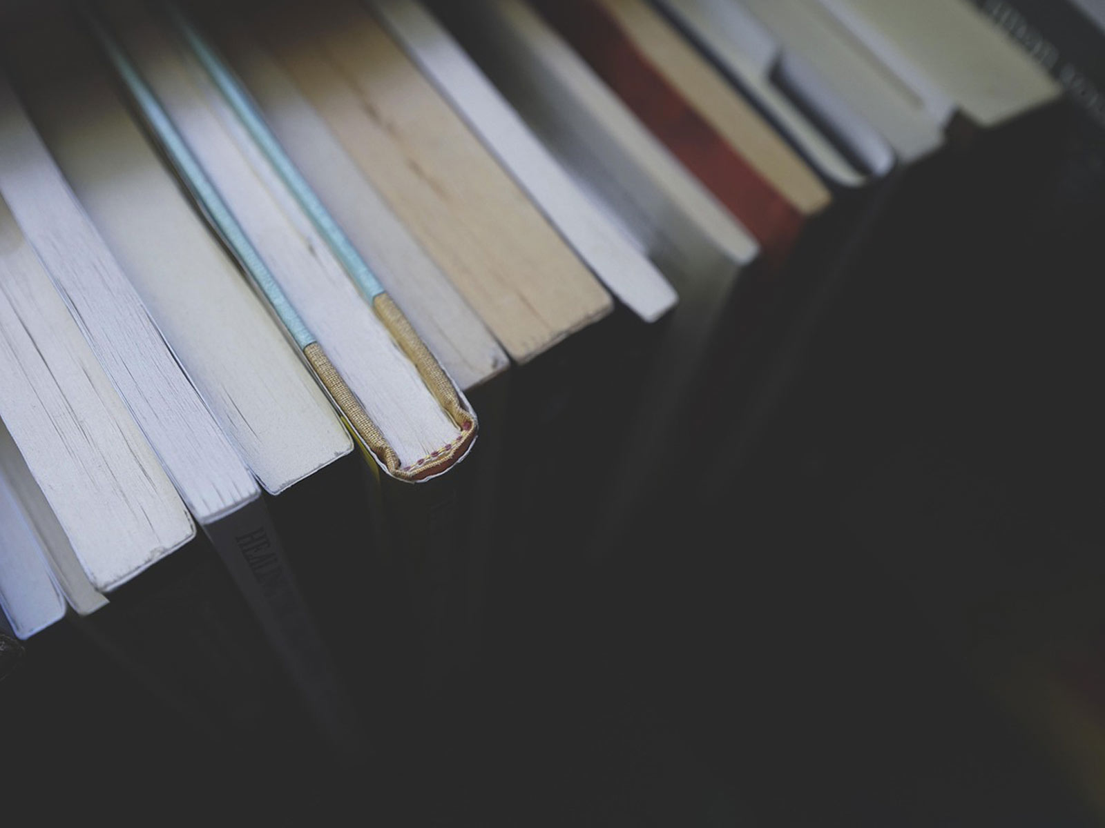 reading books on shelf