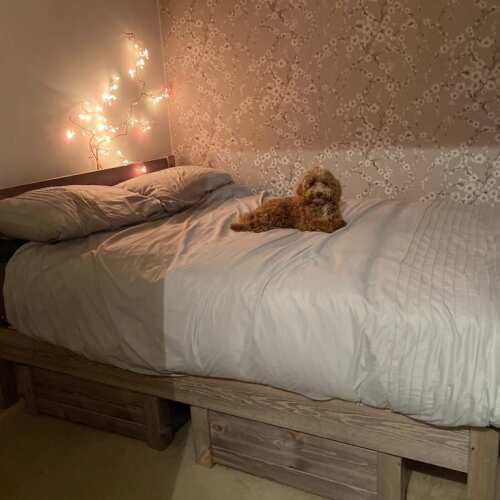 Photo of Get Laid Beds bed