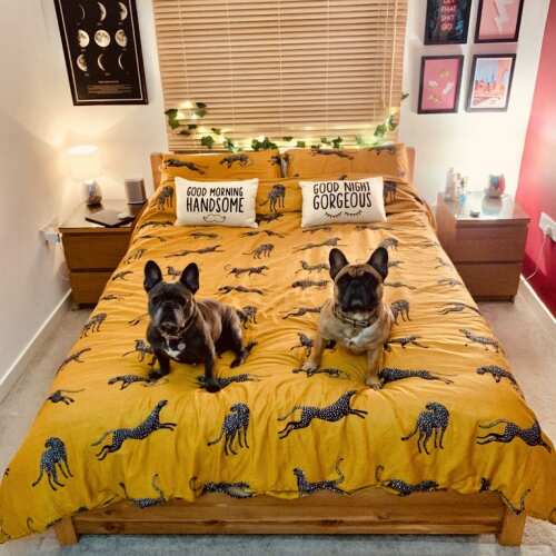 Photo of Get Laid Beds bed