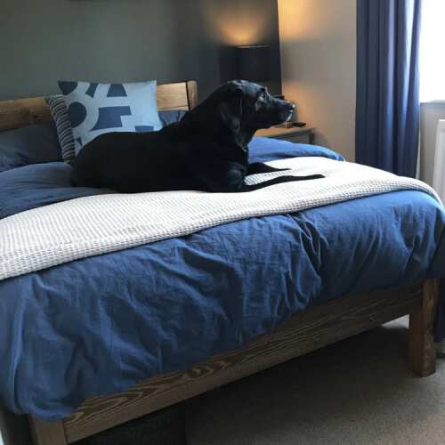 Photo of Get Laid Beds bed