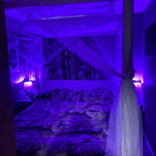 Photo of Get Laid Beds bed