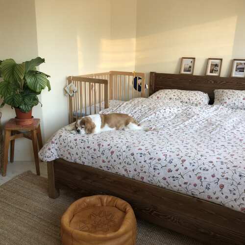 Photo of Get Laid Beds bed