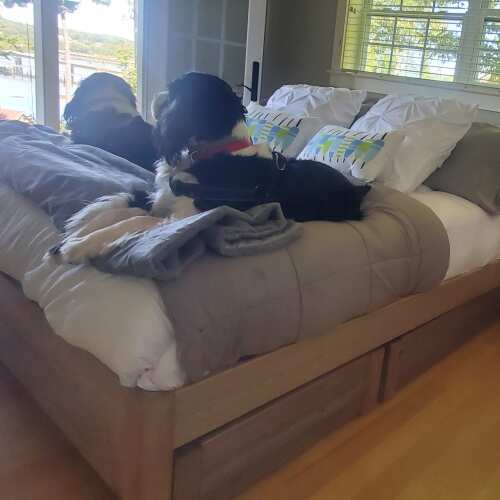 Photo of Get Laid Beds bed