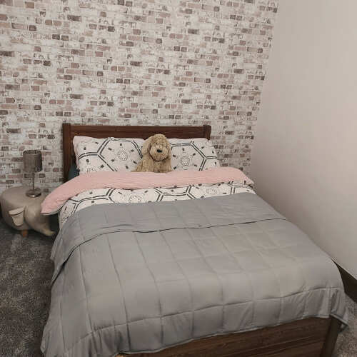 Photo of Get Laid Beds bed