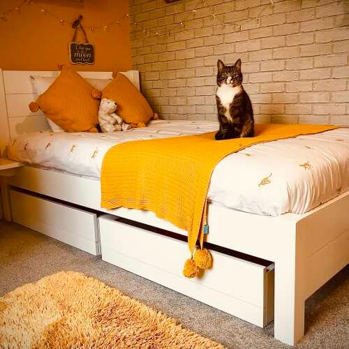 Photo of Get Laid Beds bed