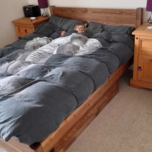 Photo of Get Laid Beds bed