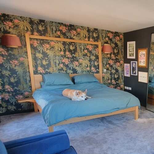 Photo of Get Laid Beds bed