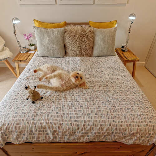 Photo of Get Laid Beds bed