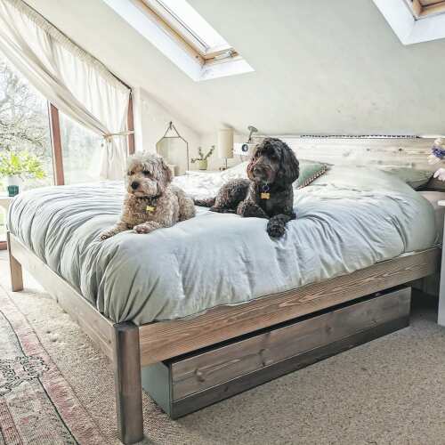 Photo of Get Laid Beds bed