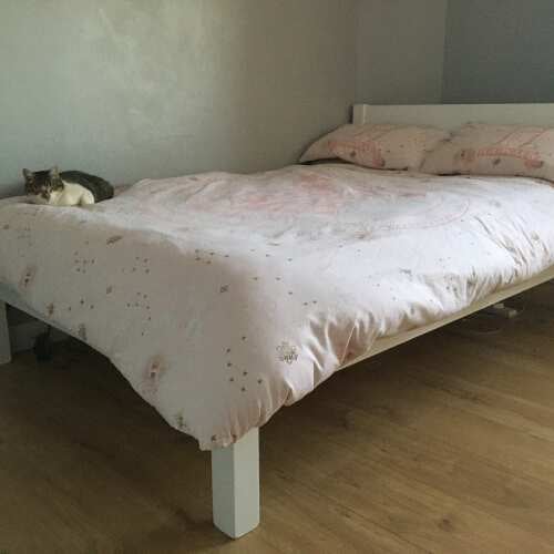 Photo of Get Laid Beds bed