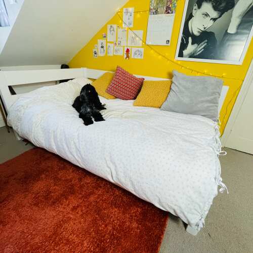 Photo of Get Laid Beds bed