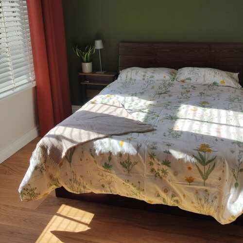 Photo of Get Laid Beds bed