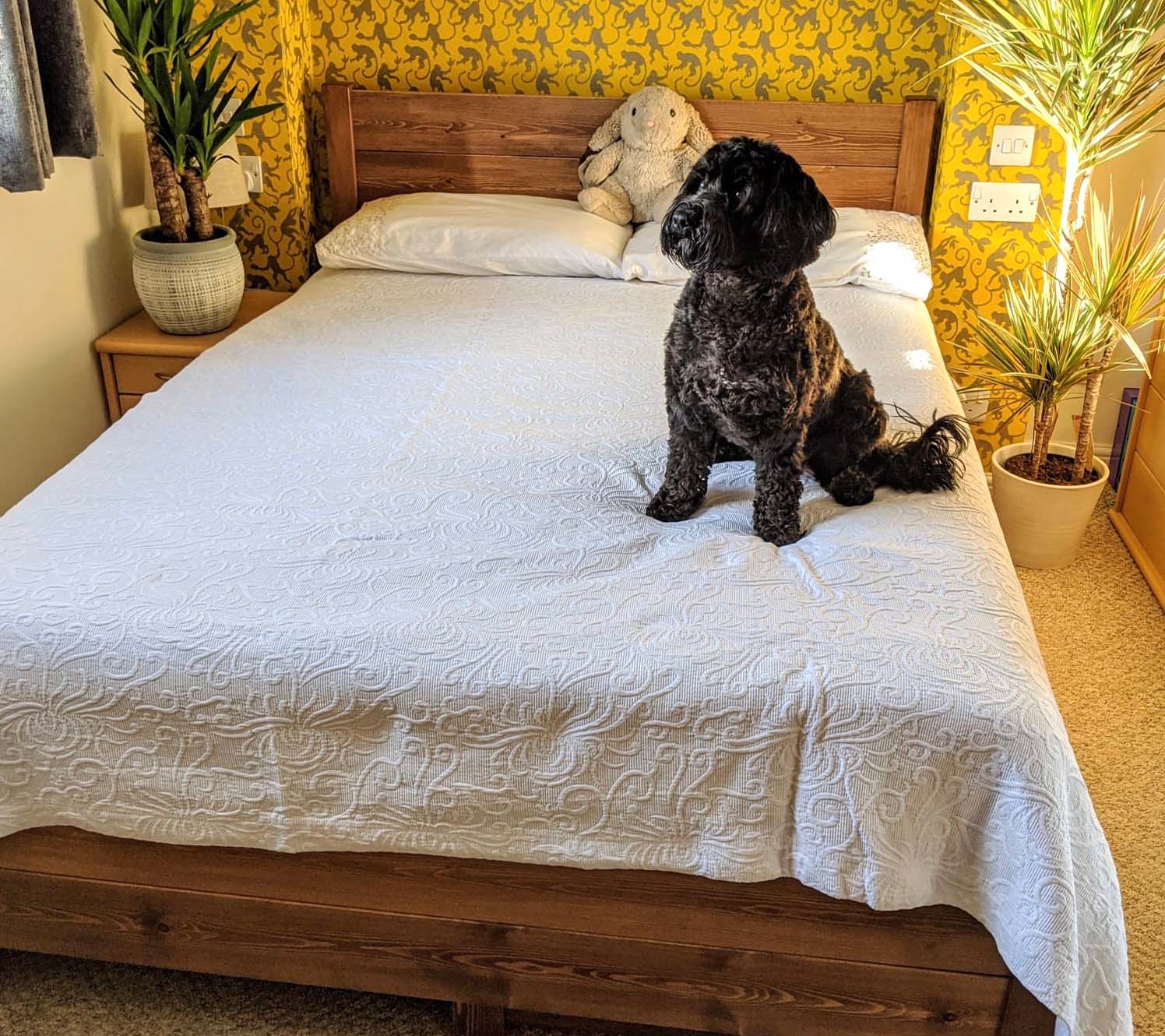 small bedroom design Less contrast more continuity